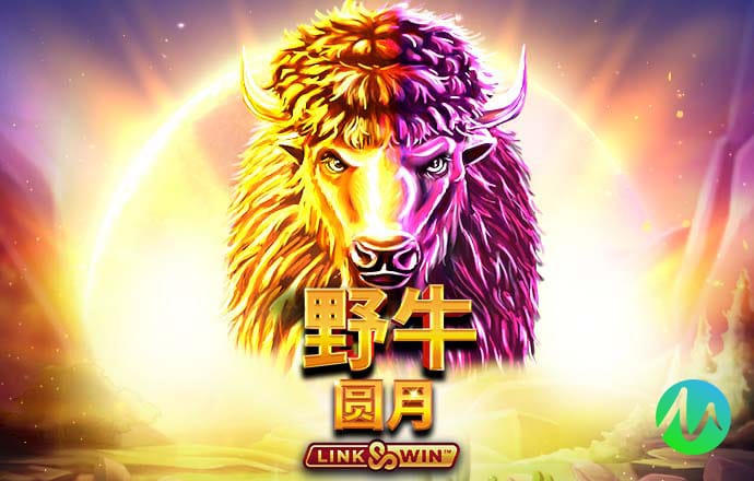 玩彩网